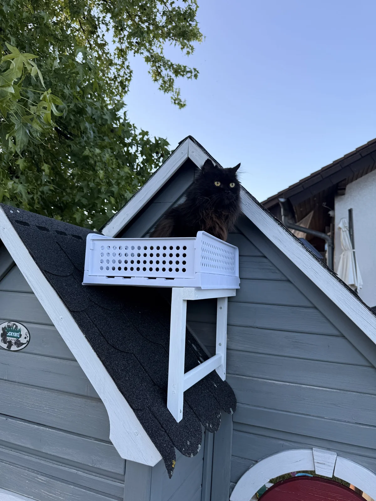 Schwarzer Langhaar-Kater Noah sitzt auf einem kleinen Balkon am Gartenhaus